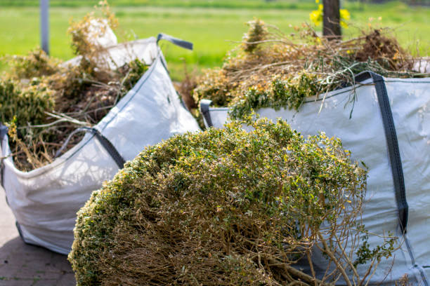 Best Shed Removal  in East Ridge, TN